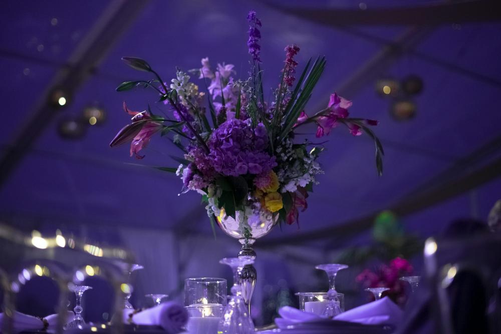 Oplev de skjulte perler ved festplanlægning i Danmark